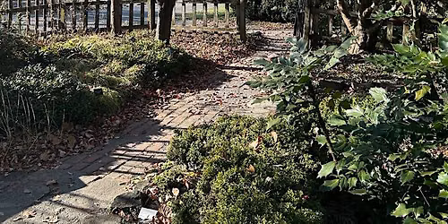 Gardener's Workshop: Gardening in Late Fall