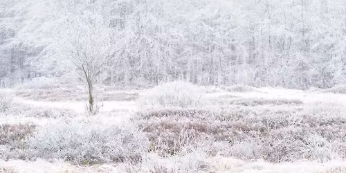 Fotografieworkshop Winterlandschap