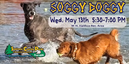 Soggy Doggy