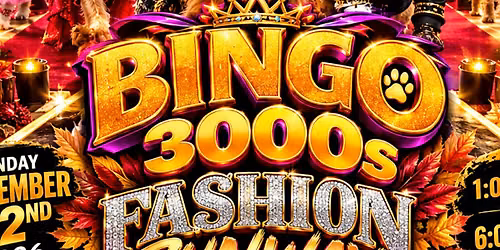 Bingo 3000s Fashion Runway