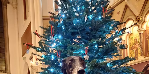 The Bath Christmas Carol Concert