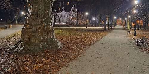 Nocny Jelcza\u0144ski Bieg Towarzyski 3 