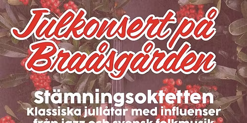 Julkonsert i Bra\u00e5sg\u00e5rden