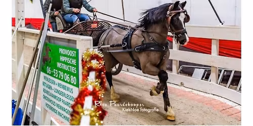 Algemene ledenvergadering