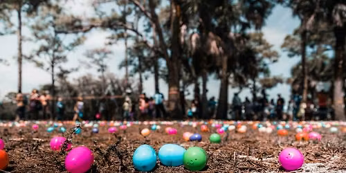 Hop Into the Mall of Abilene\u2019s Annual Easter Egg Hunt!