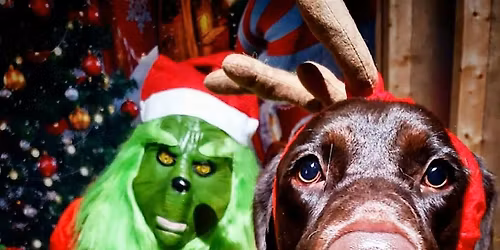 PUP PHOTOS WITH THE GRINCH