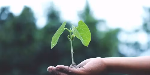 "Plant Responses to Climate Change: Lessons from the Past": In-Person Badger Talk in Wisconsin Dells