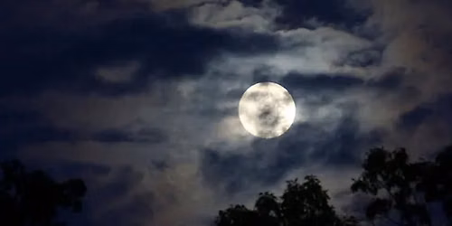 Full Moon Tours