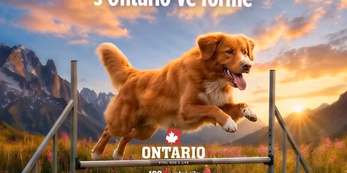 Mezin\u00e1rodn\u00ed den ps\u016f s Ontario na Vypichu