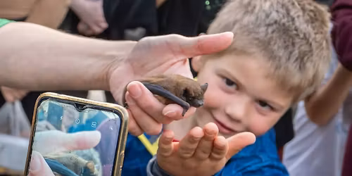 LESEM ZA ZV\u00cd\u0158ATY \u2013 Den Zem\u011b 2026