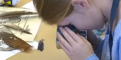 Homeschool Series #6: Feathered Frenzy (PM)