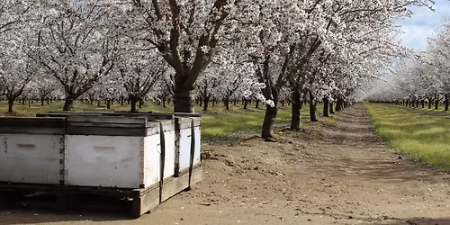 Excelsior Springs Area Beekeping Club - May Meeting