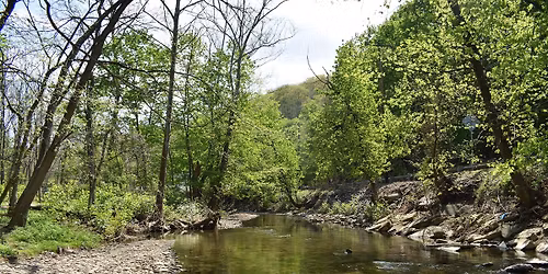 BSCWA Monthly Meeting