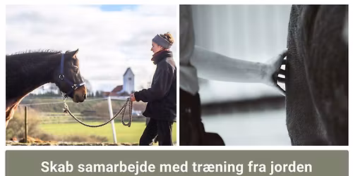 Skab samarbejde med tr\u00e6ning fra jorden (Kursusdag m. demoheste)
