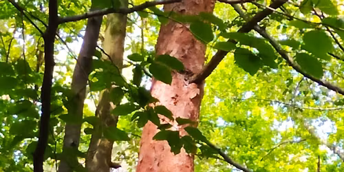 \u00c9RINT\u00c9S - Egynapos \u00e9letT\u00c9Rk\u00e9p csoport