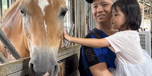 Stable Futures \u2013 Supporting Mental Wellness Through Horses@Open Stables Day
