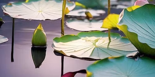 Usui Reiki- kurs steg I (Shoden)