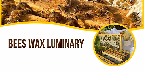 Art in Action: Bees Wax Luminary