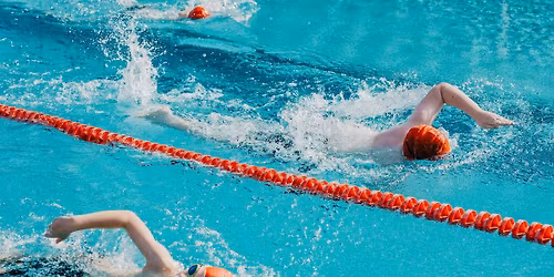 SwimElite Training Camp