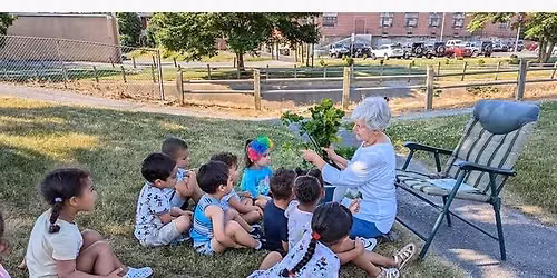 The Community Garden: Build a Healthy Plate