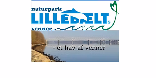 Ops\u00e6tning af muslingeanl\u00e6g 3