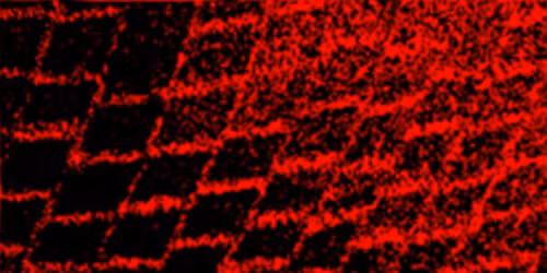 Good Custard @ Redlight x Swales, Roisin W and DJ Batehoven