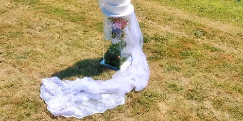 INTRODUCTION TO CAKE DECORATING! 