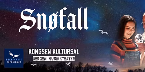 Sn\u00f8fall - Kongsen Kultursal