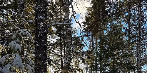 Holiday Hike: Into Victoria Park