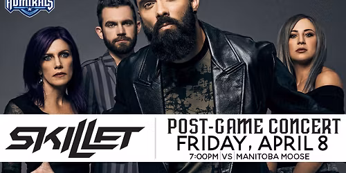 Manitoba Moose at Milwaukee Admirals