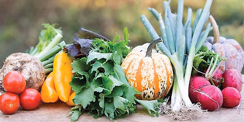 10-3-2026  How to Start a Backyard Vegetable Garden