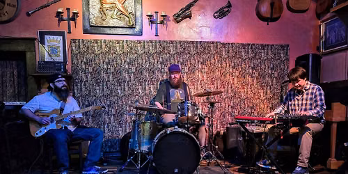 Earthstar Organ Trio at Root of Happiness Davis