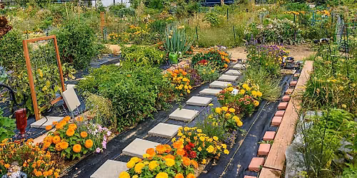 Gardening Basics & Paper Pots