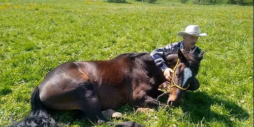 Tomek Kwiatowski w Stajni Dafina!  Warsztaty: Natural Horsemanship \u2013  teoria i pokaz praktyczny