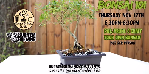 Bonsai & Brew Workshop: Bonsai 101!