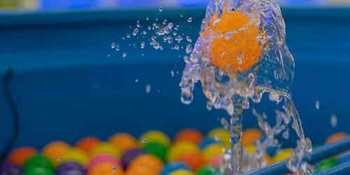 Home Education: Action Photography Workshop