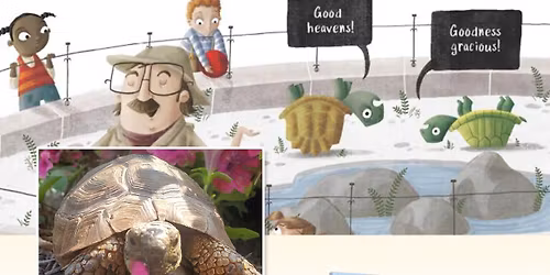 Animal Story Time: Tortoise