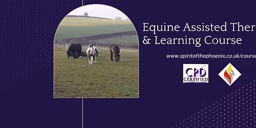Equine Assisted Therapy & Learning Course
