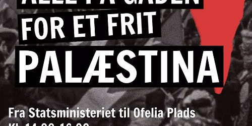 Demonstration: Alle P\u00e5 Gaden for et Frit Pal\u00e6stina