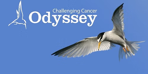 Odyssey Course