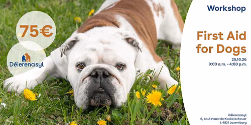 First Aid for Dogs
