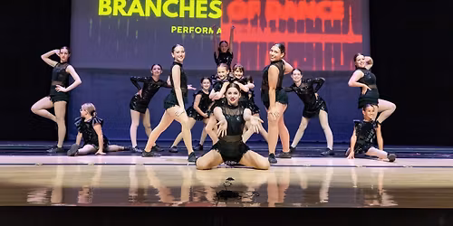 Performance Team Auditions