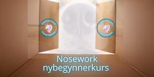 Nosework nybegynnerkurs med Everydaydog 