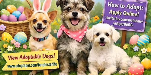 April Adoption Event - Cypress