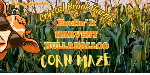 CORN MAZE @ Crystal Brook Farms