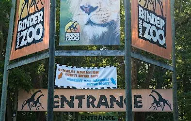 Wild World Safari Run