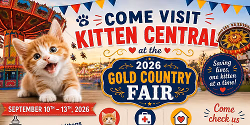 Kitten Central at the Gold Country Fair