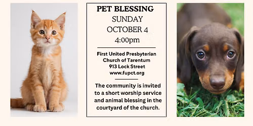 Blessing of the Animals