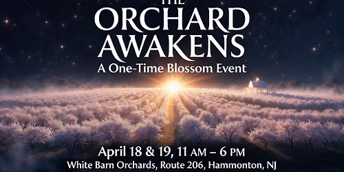 Hammonton's 1st Annual Cherry Blossom Festival