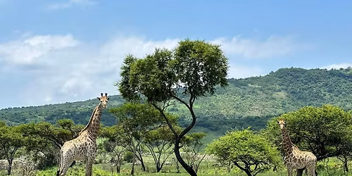 Cumberland Nature Reserve Hike and Picnic